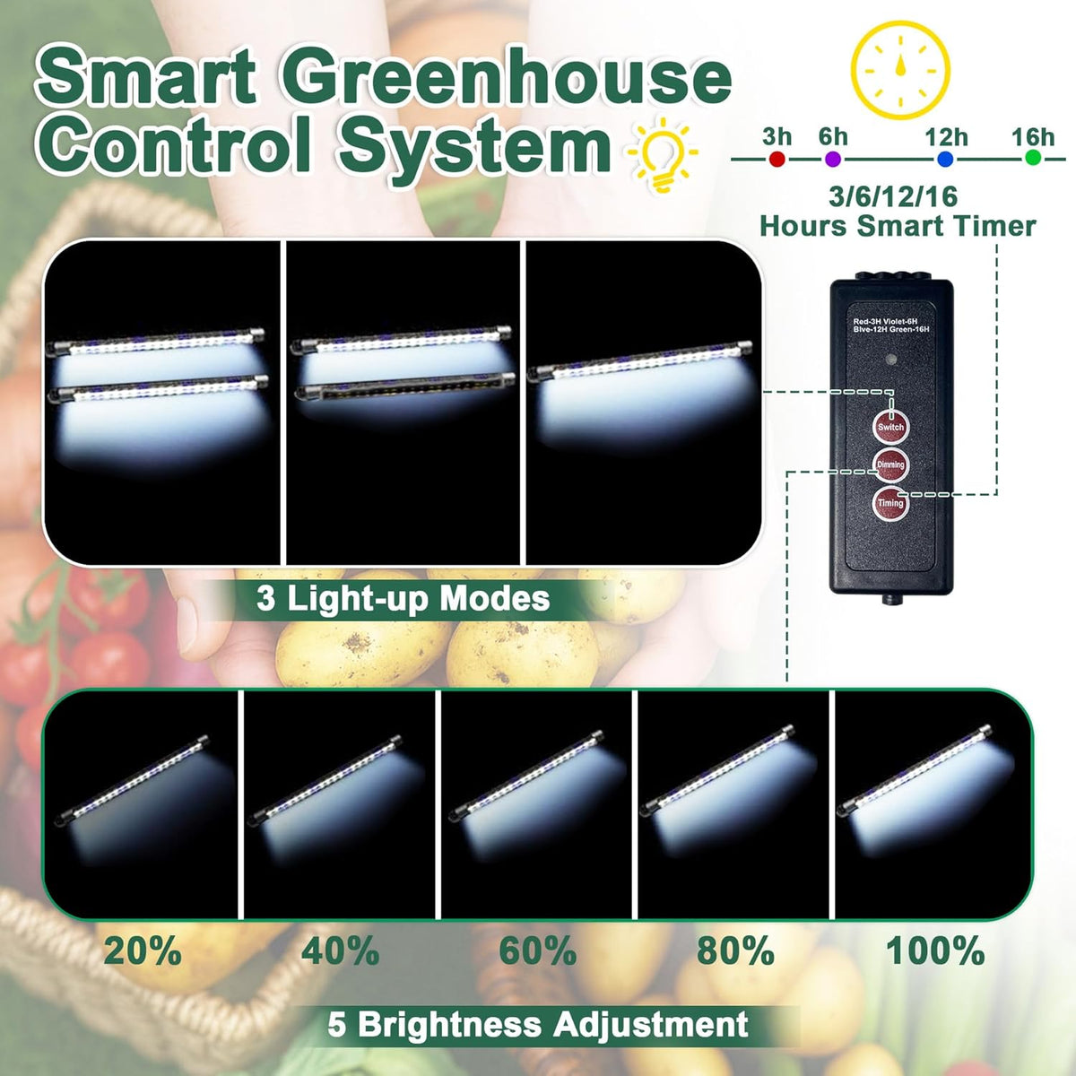 VEEKAY Indoor Greenhouse Propagation Box, 2 Pieces, 120 Hole Mini Greenhouse Propagation Set with Plant Lamp, Propagation Plate with Timing Controller, Adjustable Brightness, 20 Plant Labels for - Carlat