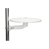 Wiedyska White Outdoor Omnidirectional Antenna for DVB-T Terrestrial TV Reception - Carlat