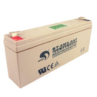 Steinberg Systems SBS-KW-100B/R/Y 6V 5Ah hook scale battery