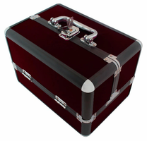 ATL Cosmetics, trunks, containers, and – CA4P Trunk 25x17x17 cm, Purple, Cosmetic