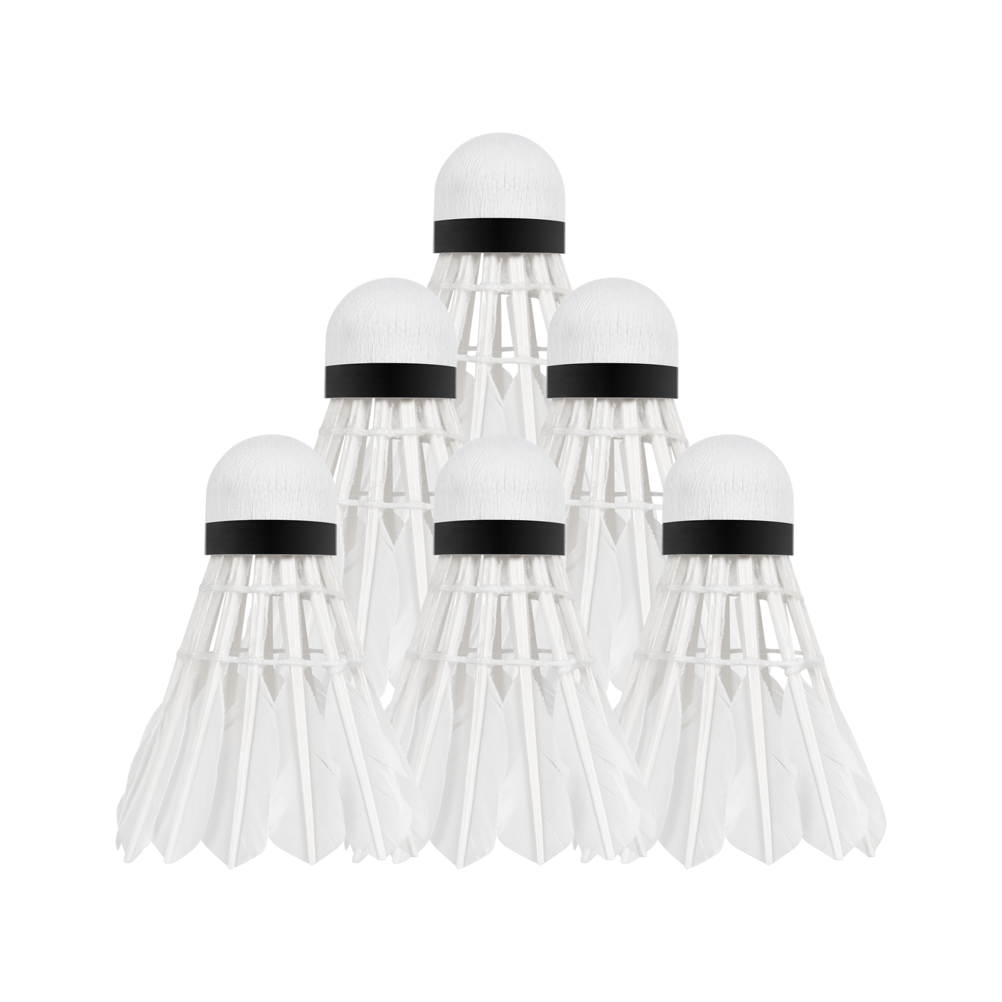 Rebel Feather shuttlecocks for badminton made of goose feathers, tube 6 pcs, REBEL ACTIVE