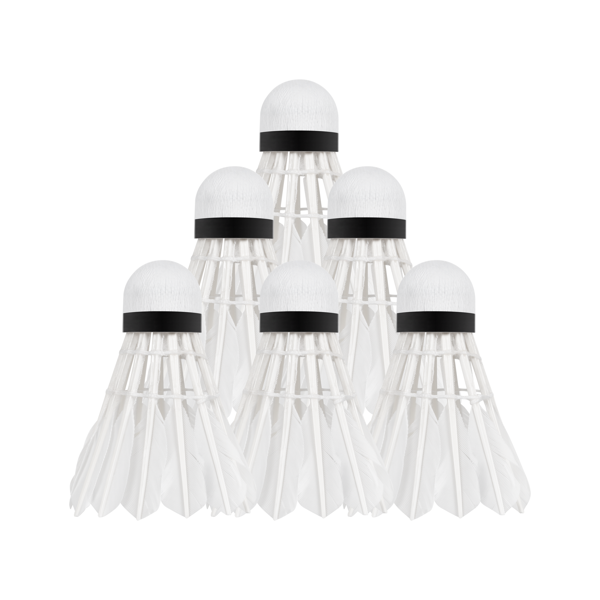 Rebel Feather shuttlecocks for badminton made of goose feathers, tube 6 pcs, REBEL ACTIVE