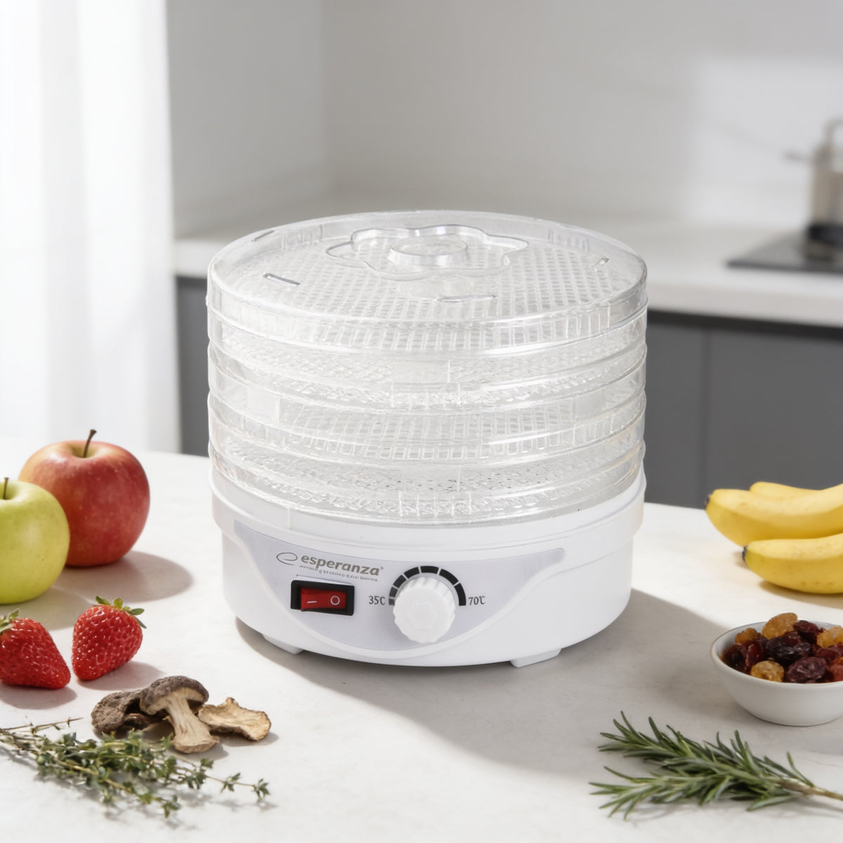 Esperanza EKD003 Esperanza Delicatesse Dehydrator for Mushrooms, Fruits, Vegetables, and Herbs – image 11