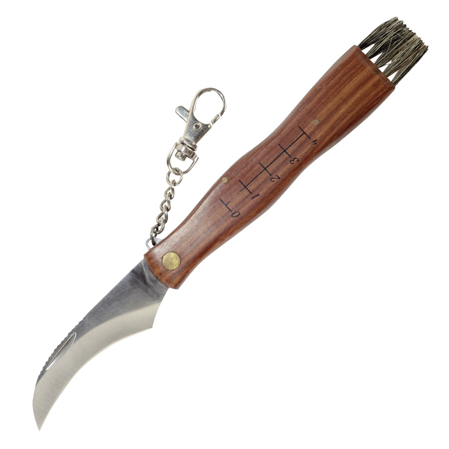 Greenmill Survival – Mushroom picker's knife with brush and measure Greenmill GR5040 – image 2