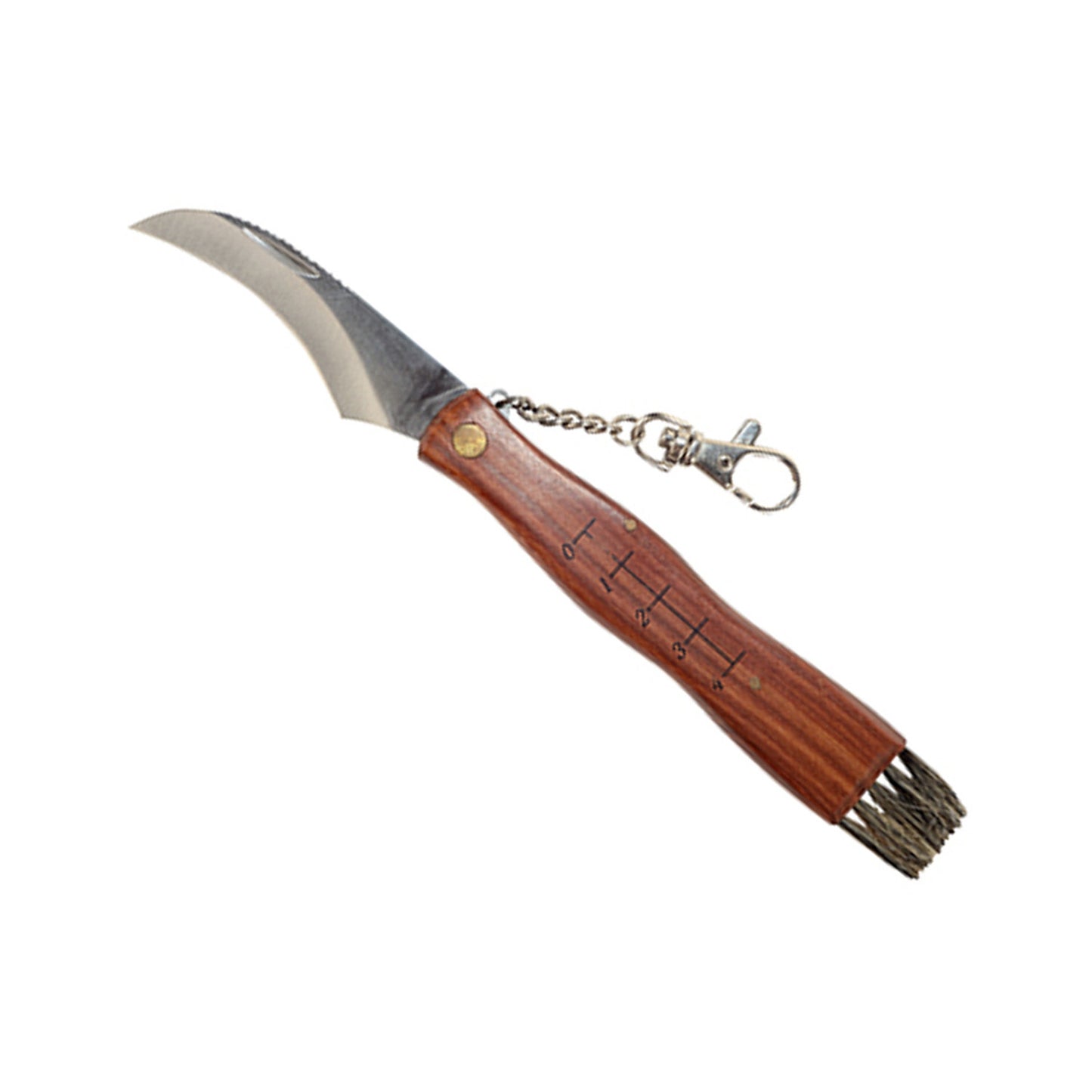 Greenmill Survival – Mushroom picker's knife with brush and measure Greenmill GR5040