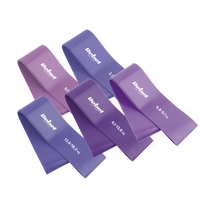 Rebel Latex Exercise Band Set - Mini Band L, 2.3–18.2 kg, 5 bands, purple, REBEL ACTIVE