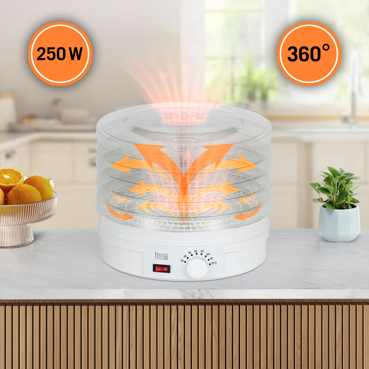 Teesa Dehydrators for mushrooms, fruits – Dehydrator for mushrooms, vegetables, and fruit – image 9