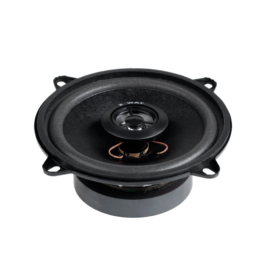 Dibeisi Car Speakers – 5" 2-Way 100W Speaker WS-1312TW