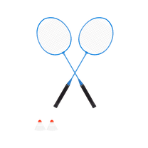Rebel REBEL ACTIVE badminton set