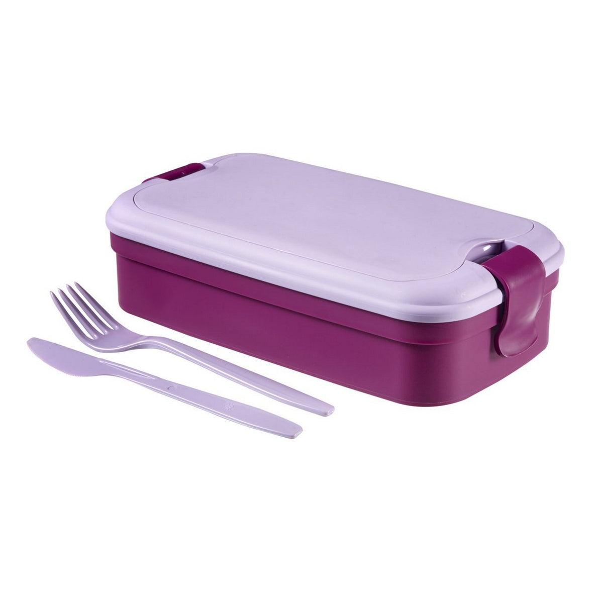 Curver Food and Spice Containers – Curver Lunch&amp;Go Purple Cutlery Container