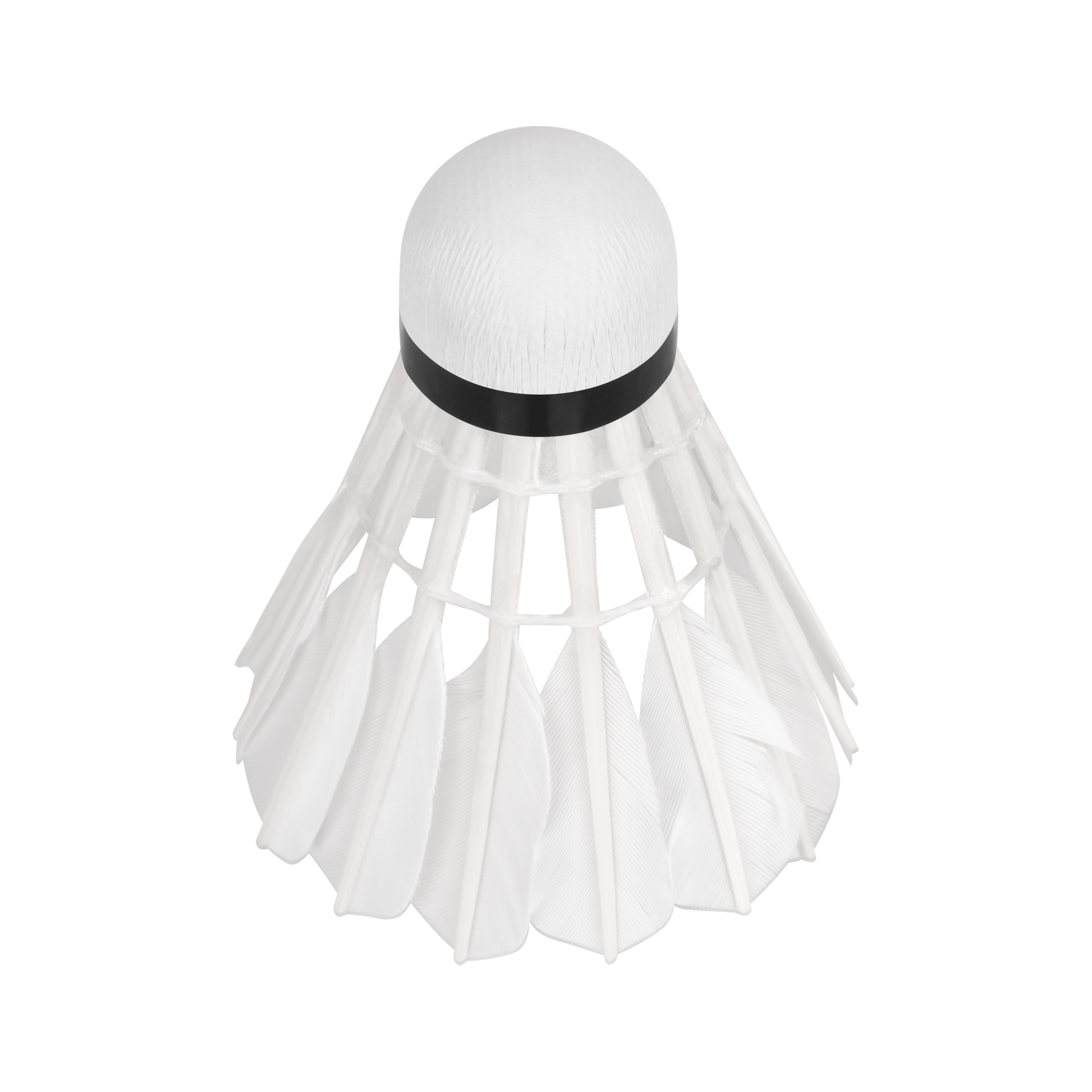 Rebel Feather shuttlecocks for badminton made of goose feathers, tube 6 pcs, REBEL ACTIVE – image 3