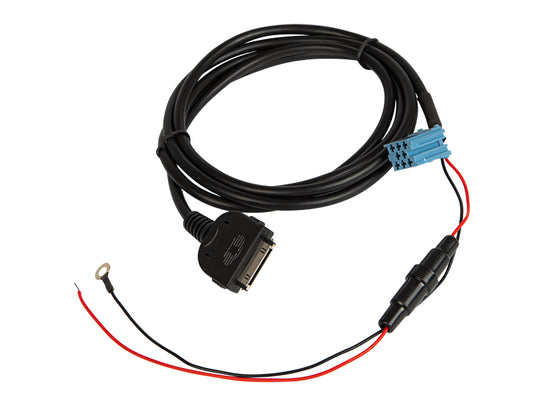 Blow Interfaces – 0698# Car AUX input for iPod - Blaupunkt `