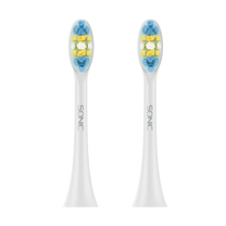 Teesa The remaining – TEESA SONIC 2 TSA8087-W Sonic Toothbrush Heads, Medium – image 2
