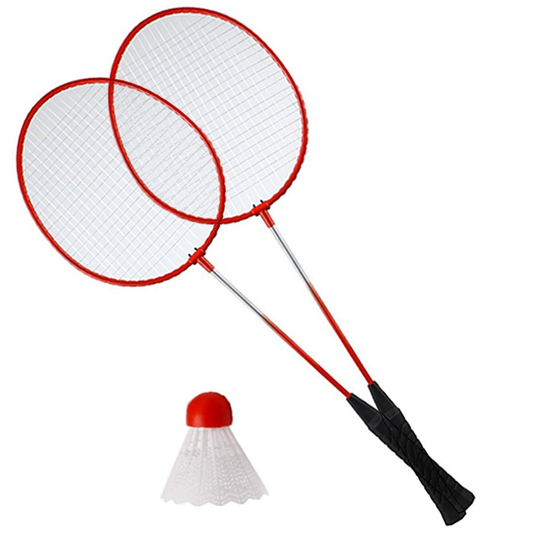 Badminton set Techman B203C (2 rackets, shuttlecock)