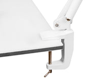 Blow Magnifying – 2107# 15W ZD129A LED Magnifying Lamp with Magnifying Glass – image 2