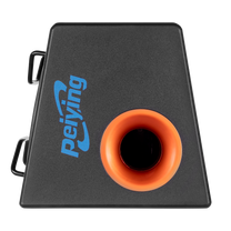 Peiying PY-BB300X Active Subwoofer – image 6