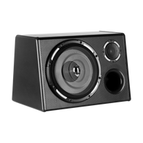 Peiying PY250QA Active Subwoofer
