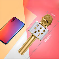 RTO Wireless Bluetooth Karaoke Microphone with Speaker, 2 złoty, model e114 – image 4