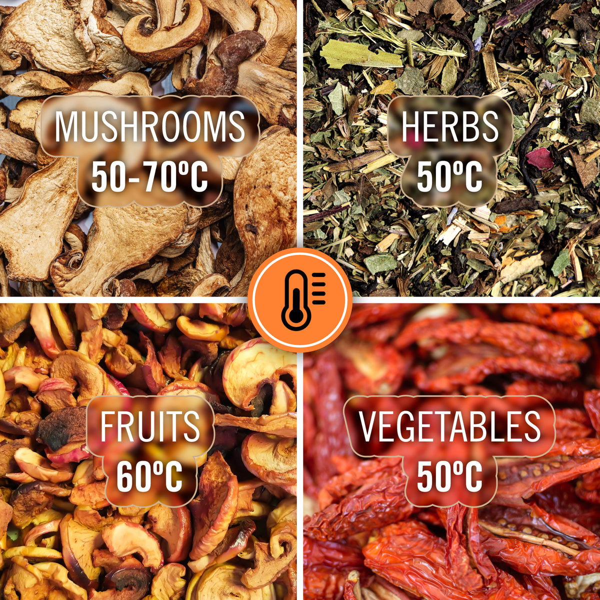 Teesa Dehydrators for mushrooms, fruits – Dehydrator for mushrooms, vegetables, and fruit – image 8