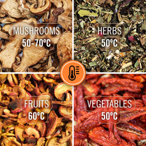 Teesa Dehydrators for mushrooms, fruits – Dehydrator for mushrooms, vegetables, and fruit – image 8