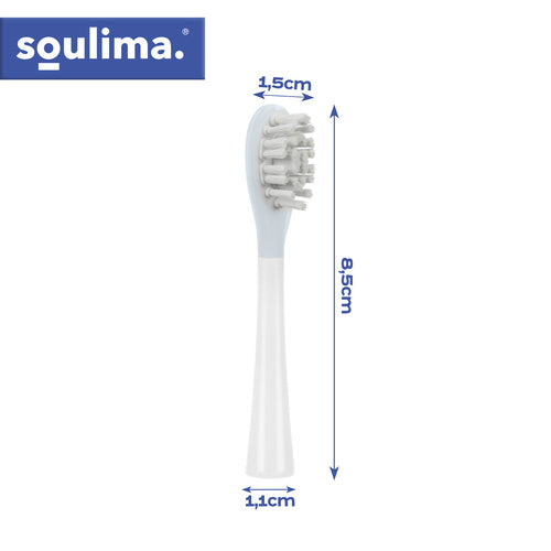 SOULIMA The remaining – White Toothbrush Heads, 2-Pack, Soulima 26929 – image 3