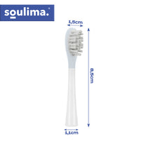SOULIMA The remaining – White Toothbrush Heads, 2-Pack, Soulima 26929 – image 3