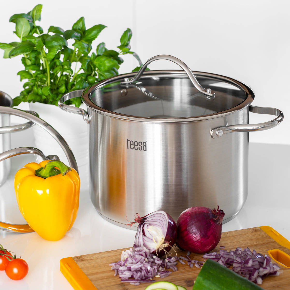 Teesa Pots and cookware – TEESA COOK EXPERT MASTER 6-Piece Cookware Set – image 9