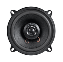 Dibeisi Car Speakers – 5" 2-Way 100W Speaker WS-1312TW – image 4