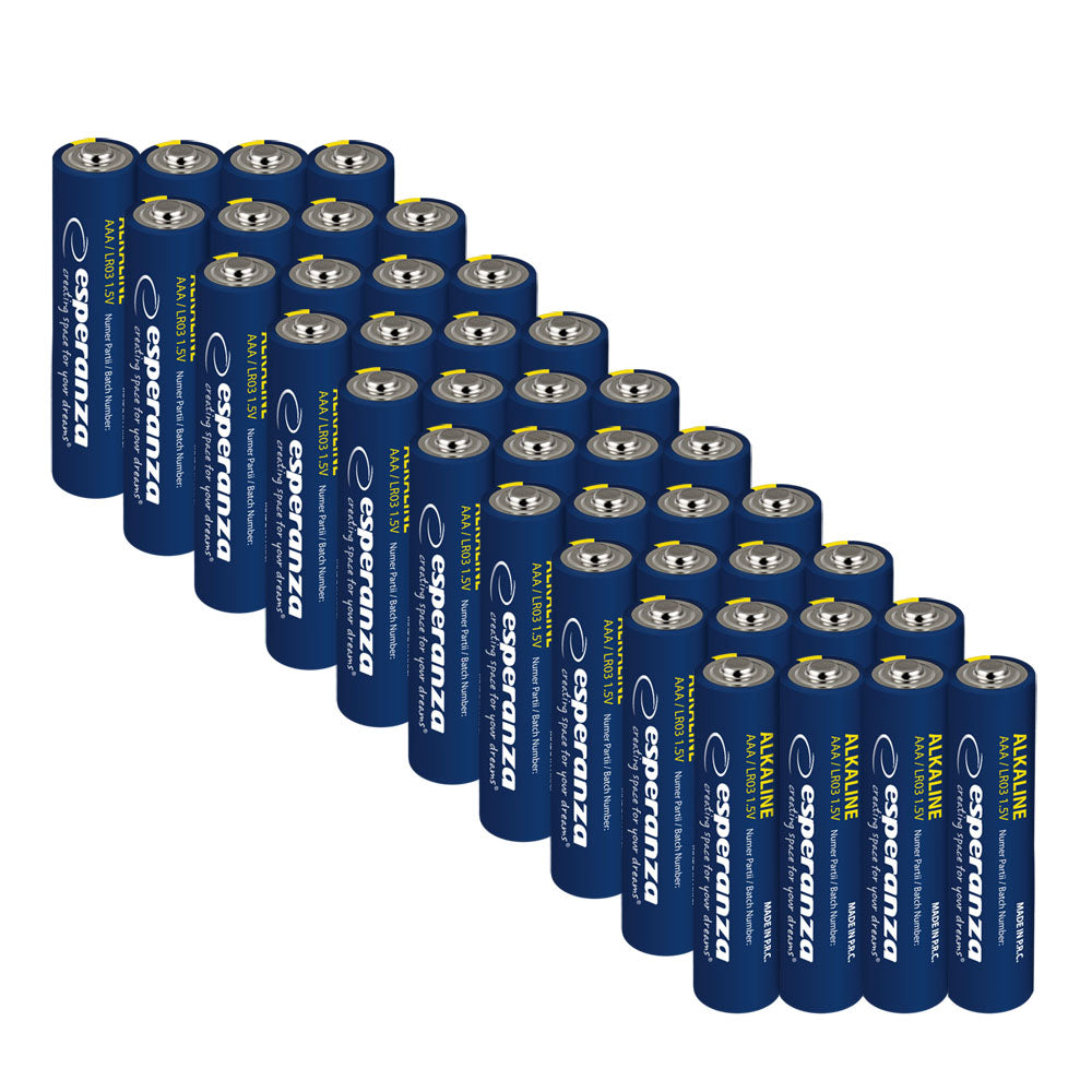 Esperanza Alkaline, coin-cell, and zinc-carbon – EZB117 Esperanza AAA Alkaline Batteries, 4-Pack – image 2