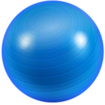 RTO 65 cm Rehabilitation Exercise Ball for Fitness, Yoga, and Push-Ups - s062 – image 2