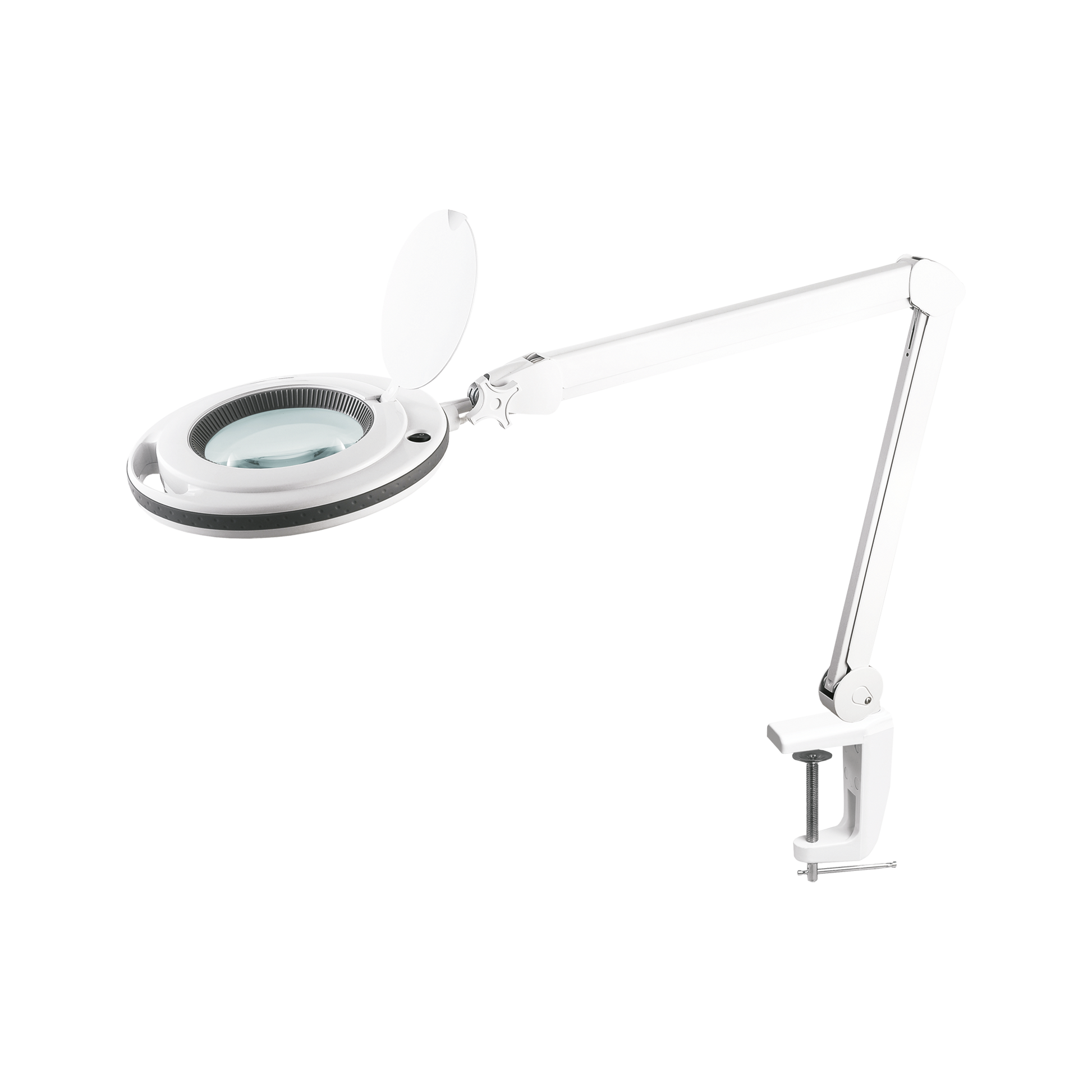 Rebel Rebel 5D 10W, 6500 K Workshop Lamp with Magnifying Glass