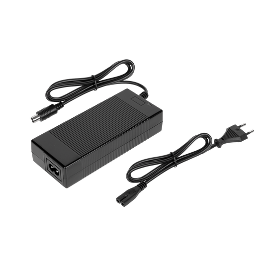 Rebel Chargers for – Charger for the FAST WHEELS PRO ZAB0030 Scooter